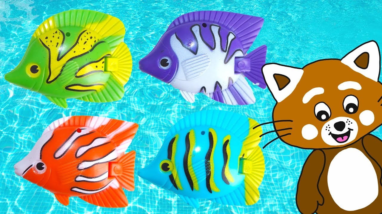 Pukkins leker i poolen med leksaksfiskar - Roligt barnprogram - Lek med oss