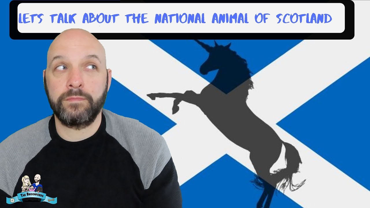 Lets talk about the scottish national animal
