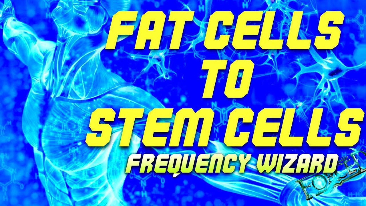 Fat Cells to Stem Cells Conversion (Binaural Beats Subliminal Frequency Wizard Music)