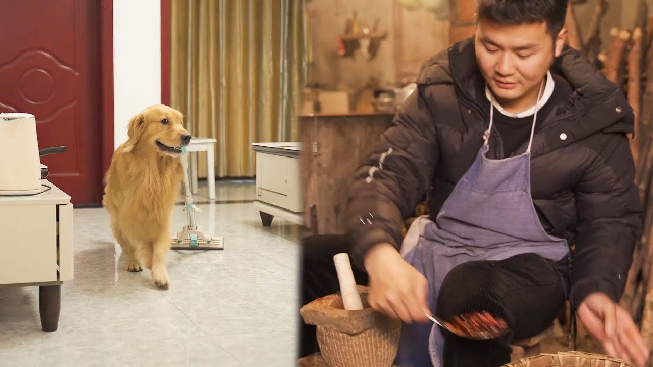 Температура повышается, но ваша любовь никогда не угаснет. Давайте продолжать! #собака #домашниеж...