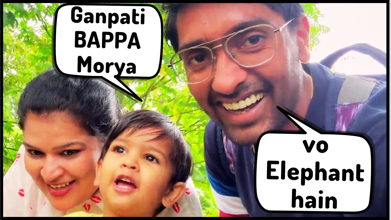 A fantastic day out at the zoo in Emmen Netherlands🇳🇱 @wildlandsadventurezooemmen9540