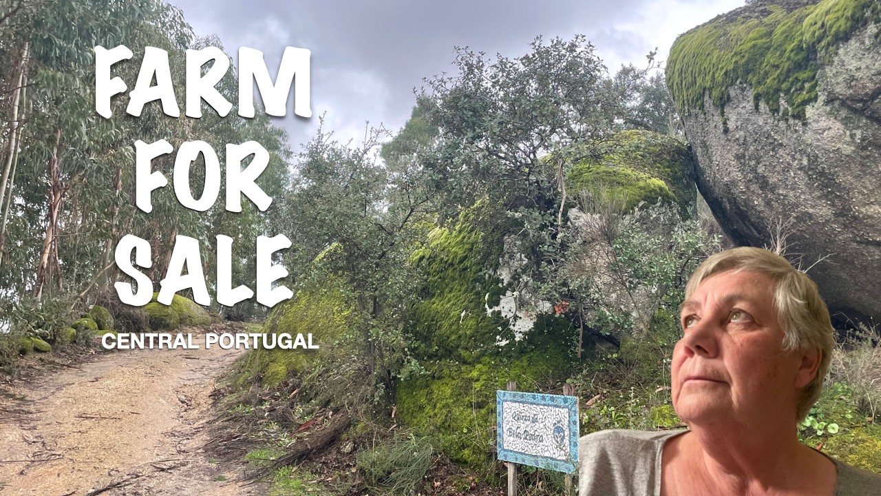 STUNNING FARM FOR SALE IN CENTRAL PORTUGAL