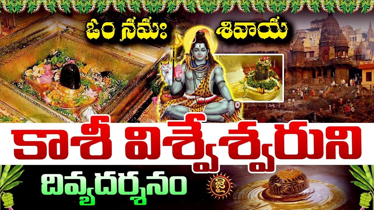 Kashi Vishwanath Darshan LIVE | కాశీ విశ్వనాథ్ లైవ్ దర్శనం | Kashi Vishwanath Temple | Jai Hindu