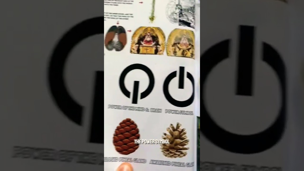 As Within So Without | Five Senses 🧘&zwj;♀️ #spiritualawakening #higherconsciousness #mindbodyspirit