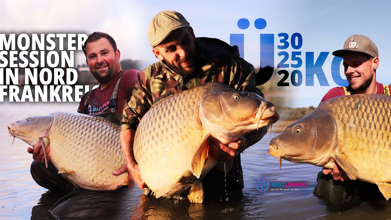 Monstersession in Nordfrankreich | 31 Kilo Schuppenkarpfen | Flachlandsee | Karpfenangeln