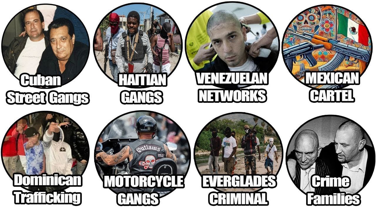 What Gangs COULD Look Like in GTA VI: Based on Real Miami Culture