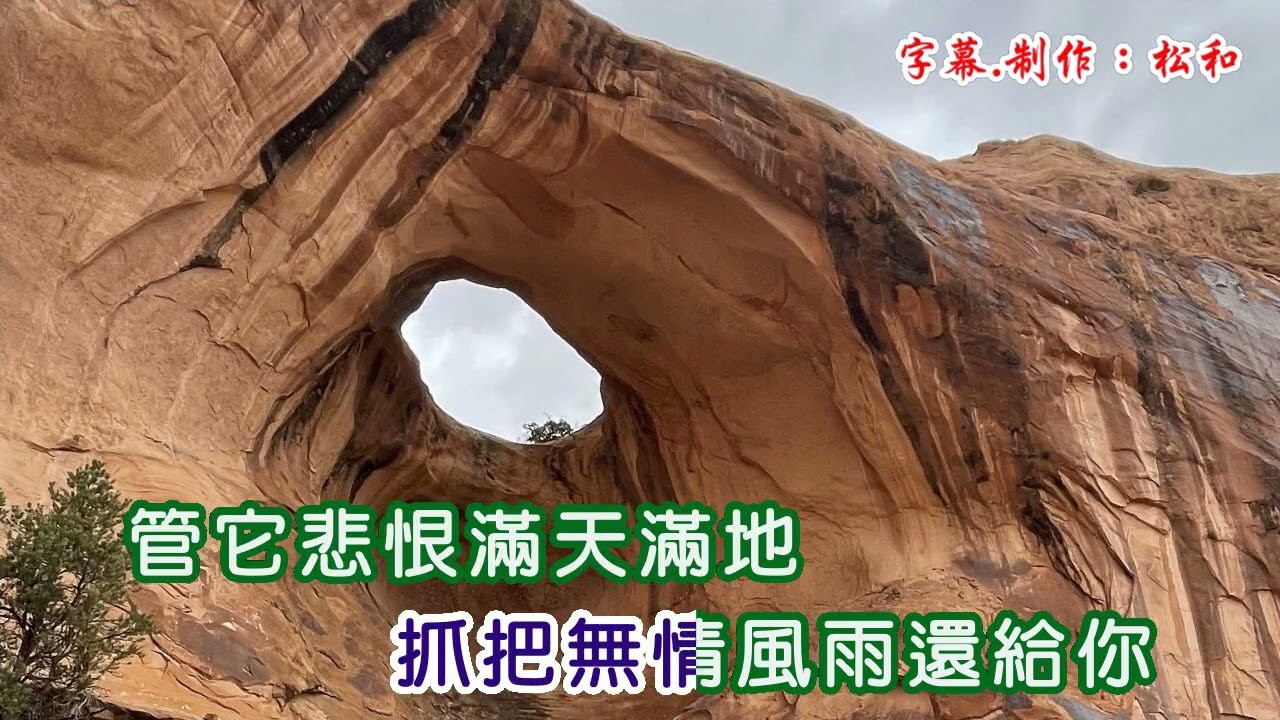 陳小雲 ~ 不如歸去