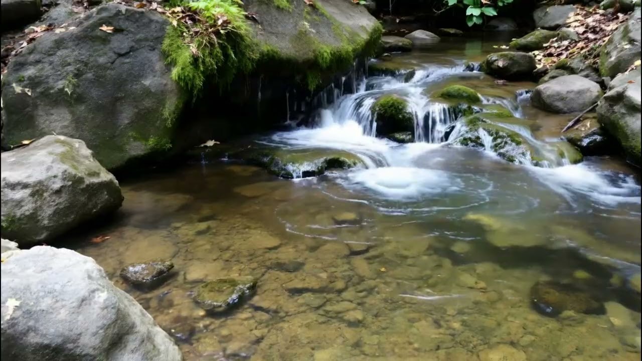 Natural Forest Stream and Small Waterfall Sounds for Relaxation