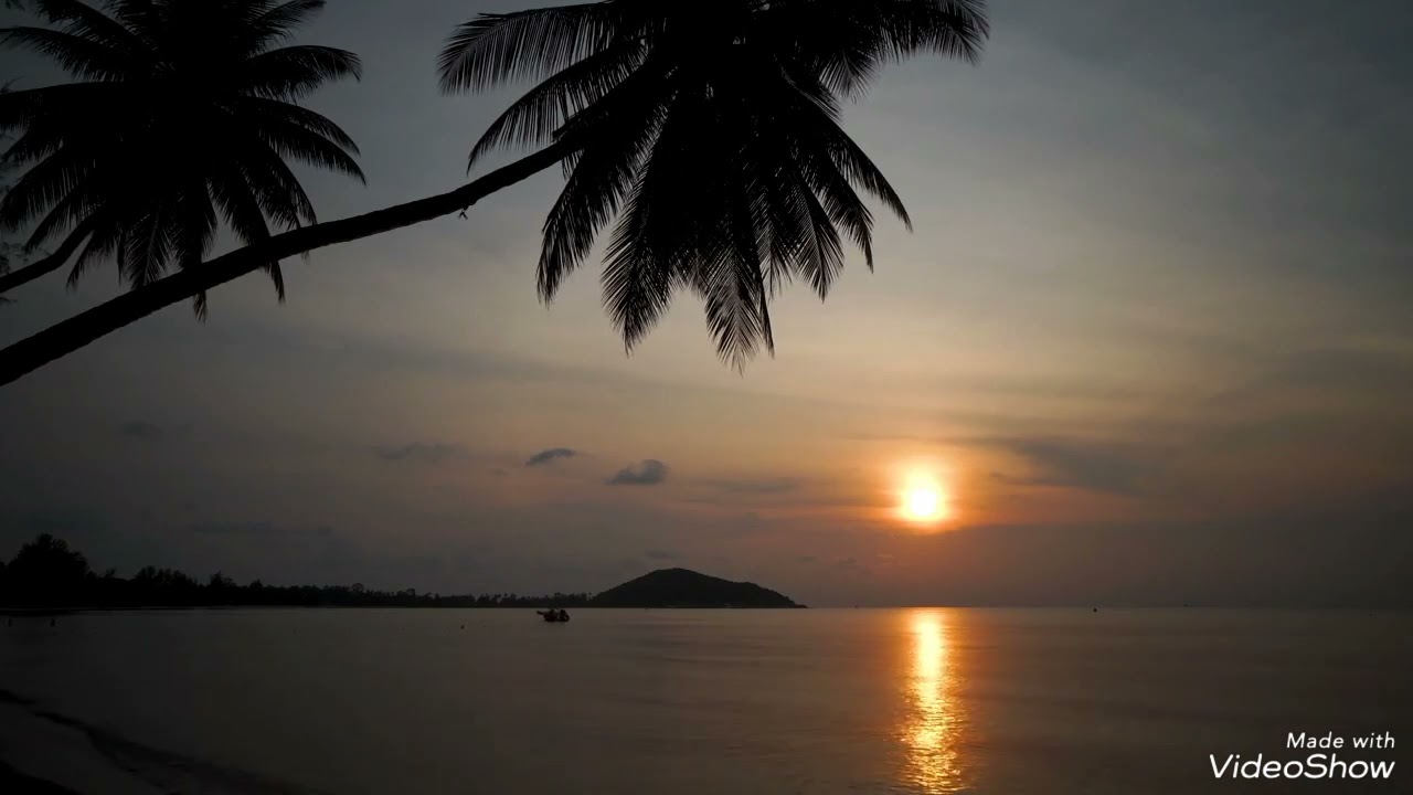 Petr Bihari (Instrumental) ❤️❤️