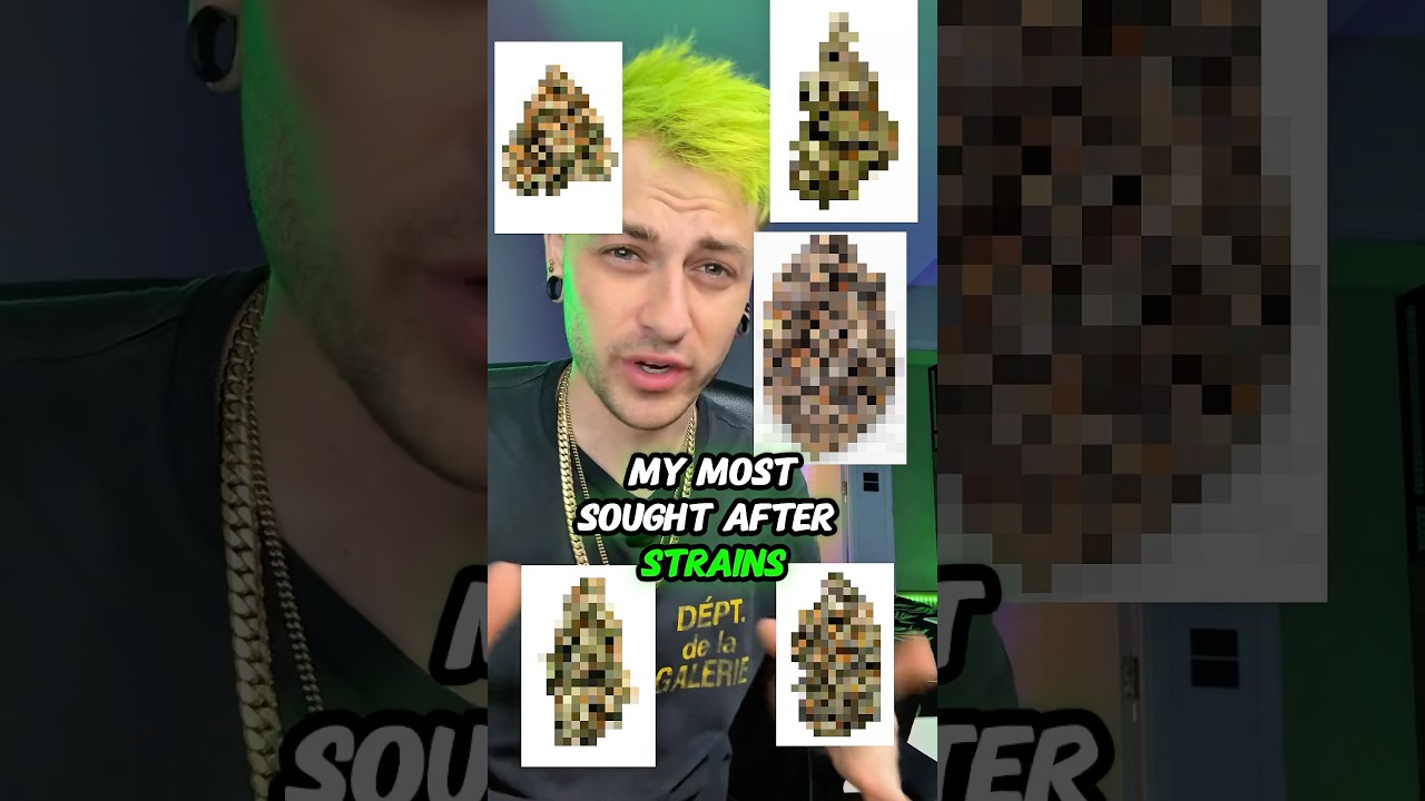 My most sought after strains of all time!