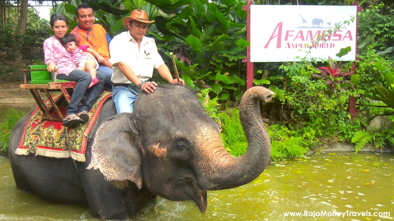 A'famosa animal World Safari alor gajah, Malacca, Malaysia Holidays