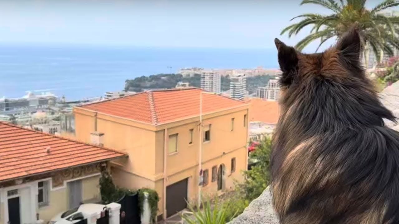 Unterwegs in Monaco, St. Tropez & Gardasee – Luxus pur!