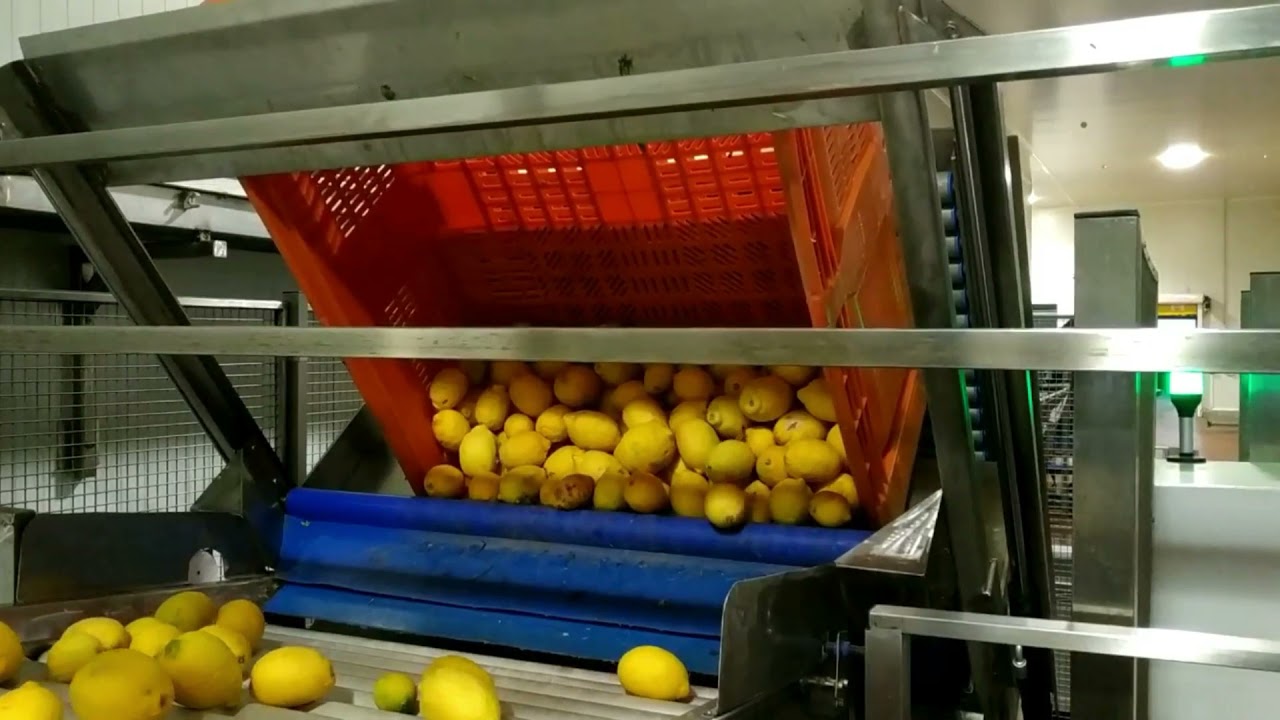 VOLCADOR DE BINS /APLI MAQUINARIA SURESTE (España,Murcia)