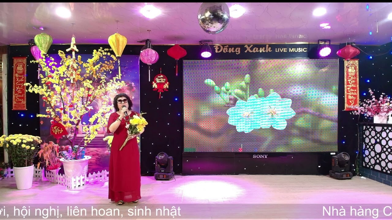 Sầu Lẻ Bóng 2 - Ngọc Huệ 