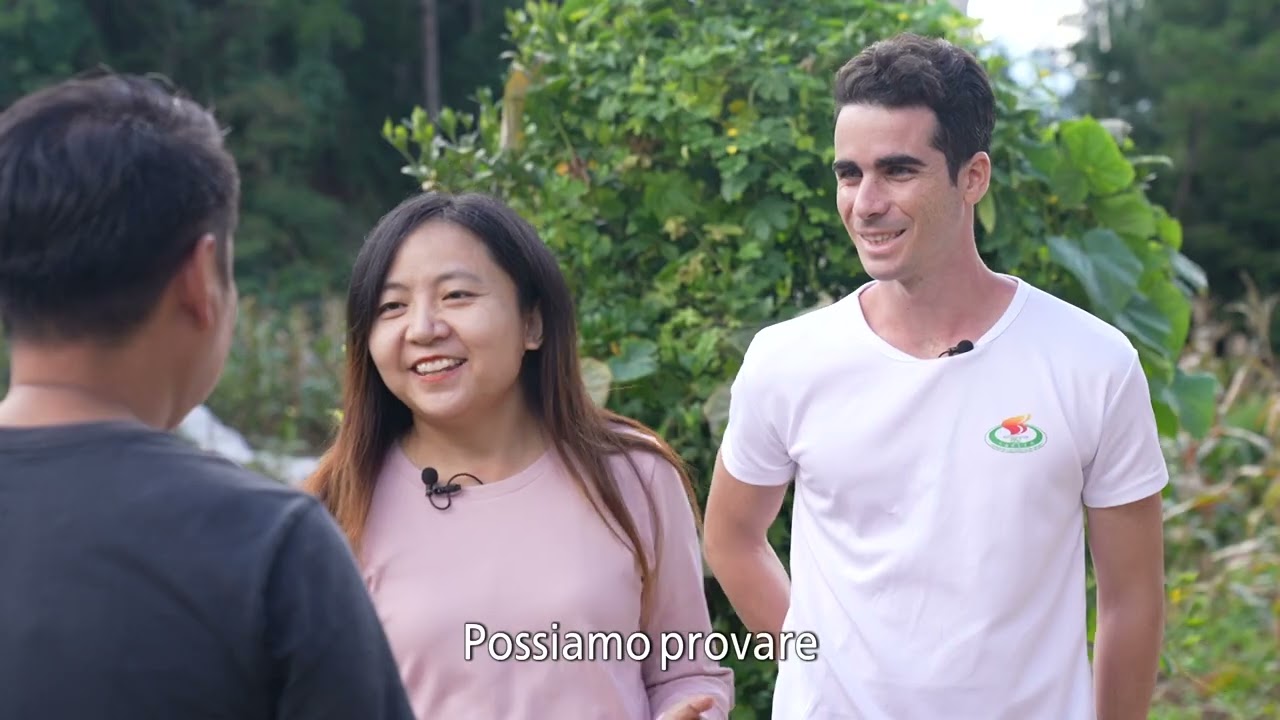 Ahimè, quanto è insidiosa e alta!