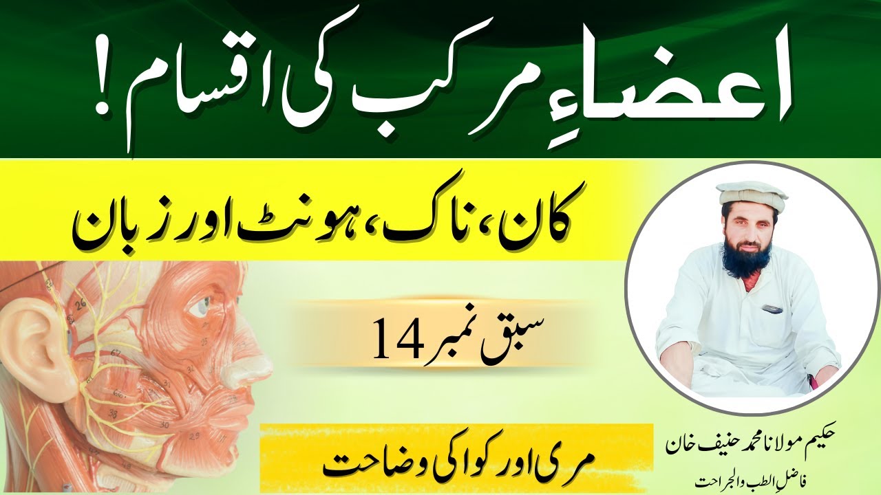 Azaa-e-Murakkab Ki Iqsam | Ear, Nose, Lips, Tongue, Mari Aur Uvula Ki Tafseel
