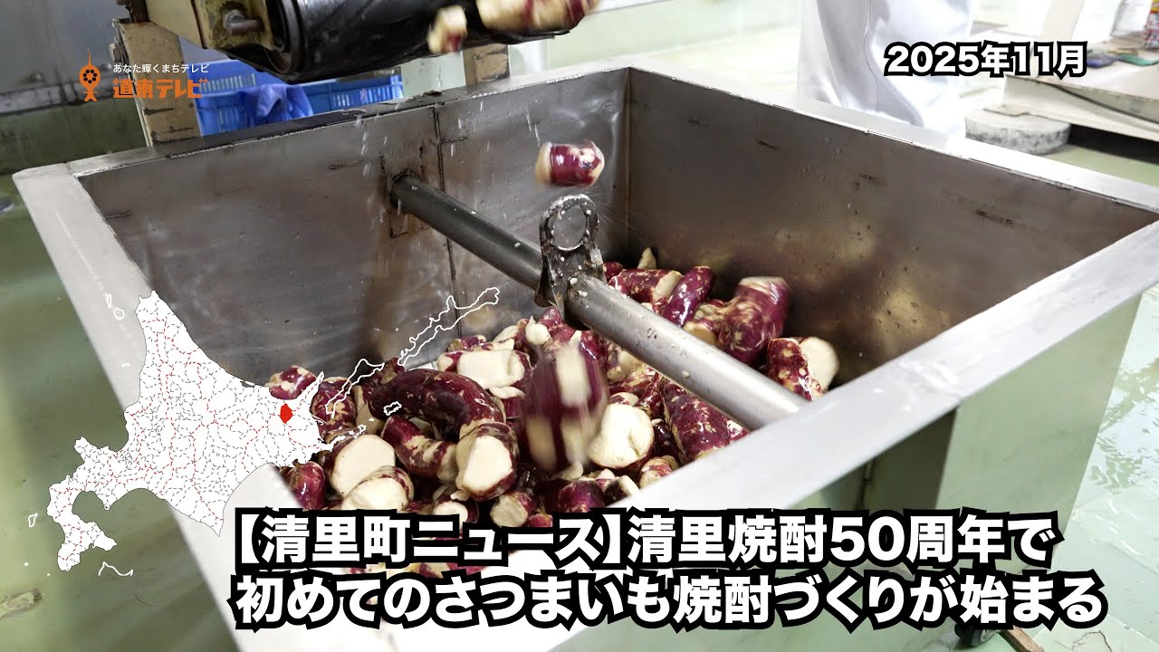 【清里町ニュース】清里焼酎50周年で初めてのさつまいも焼酎づくりが始まる