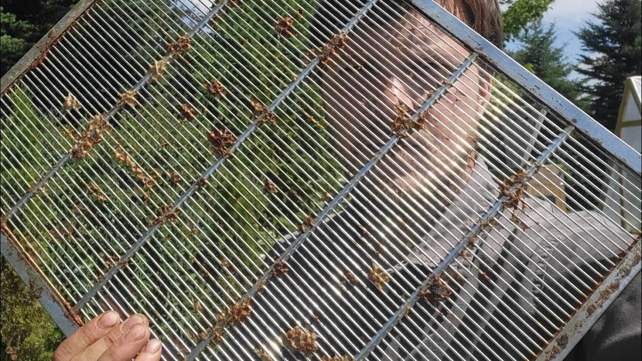 Rethinking the Queen excluder