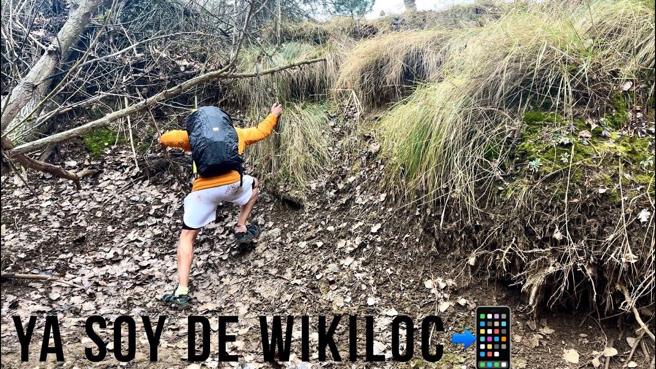 Camino 55 La Lana (Variante de Valencia) Enero 2024 Parte 8: De Cardenete a Monteagudo