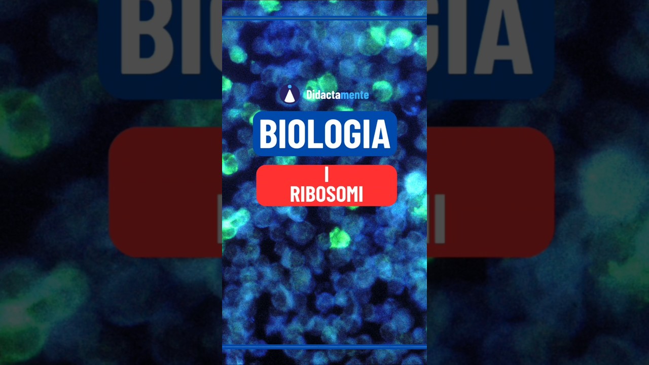 Biologia - I ribosomi