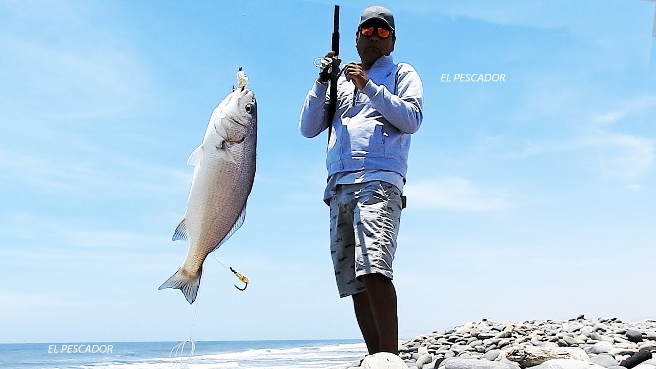 Mira como se PESCA con el Nape o Marucha | Pescar con Anzuelo