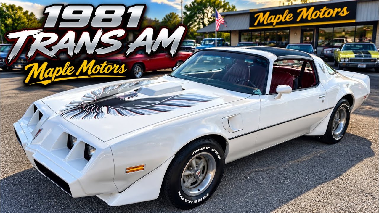 Тест-драйв Pontiac Trans Am 1981 года выпуска, цена 19 900 долларов, Maple Motors.