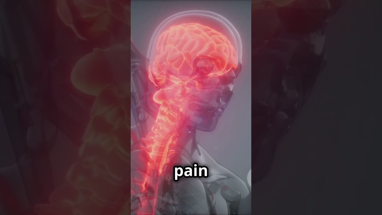 Why do we feel pain ? 