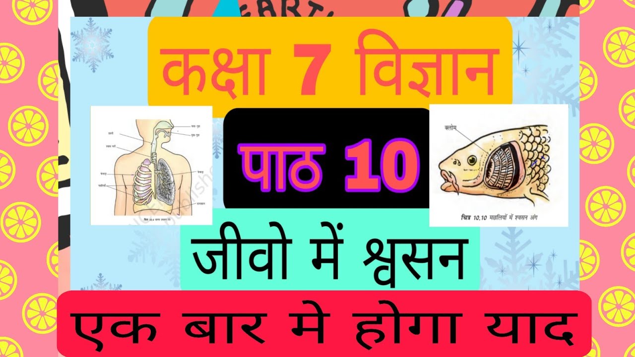 जीवो में श्वसन  SCIENCE CLASS 7  CHAPTER 10 RESPIRATION IN ORGANISMS