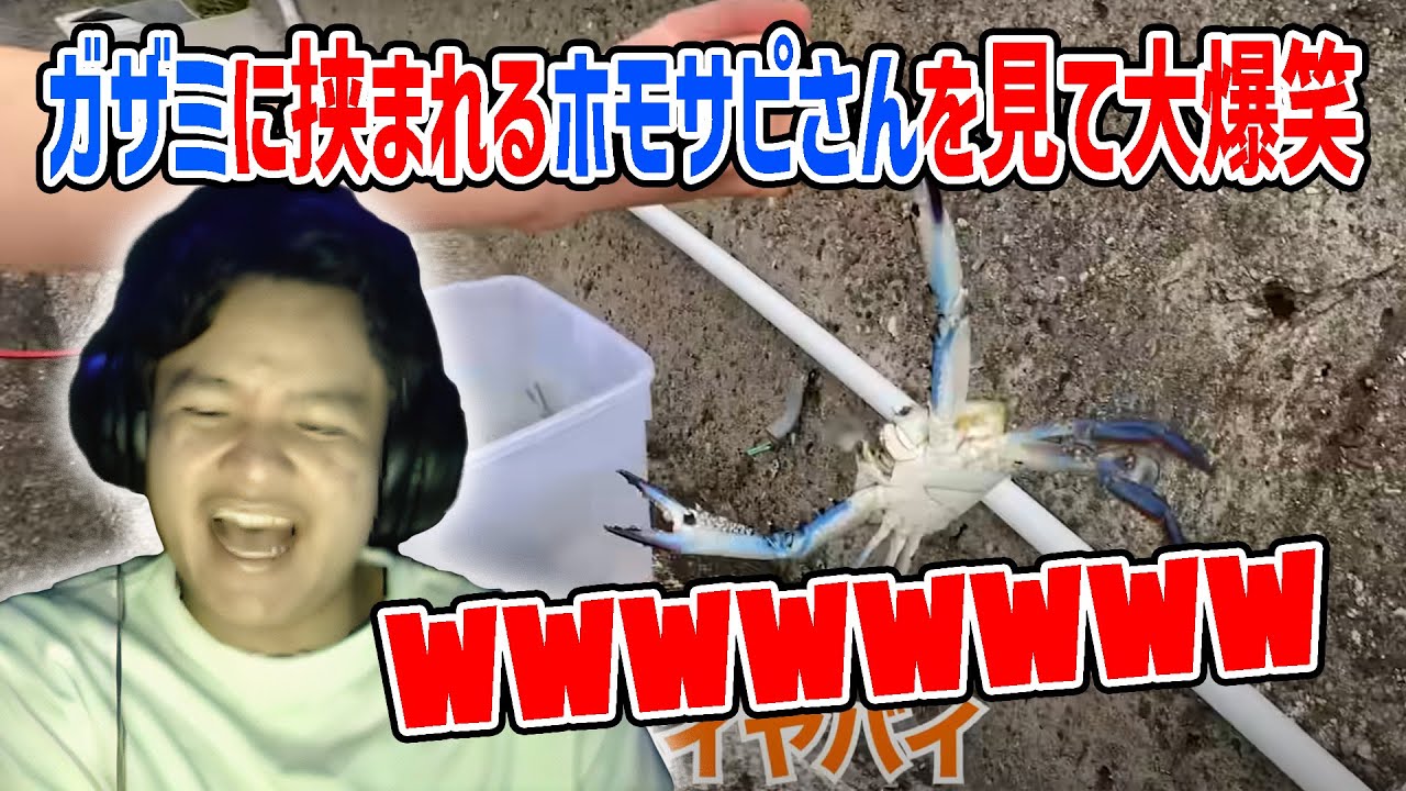 【REACTION】I COULDN'T STOP LAUGHING WITH WATCHING THE GUY WHO GOT NIPPED BY A CRAB【Euriece/ユリース】