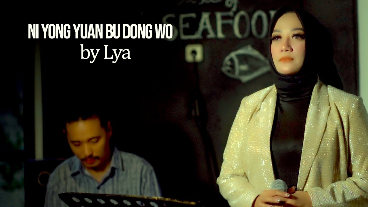 你永远不懂我 NI YONG YUAN BU DONG WO || video music cover || Lya