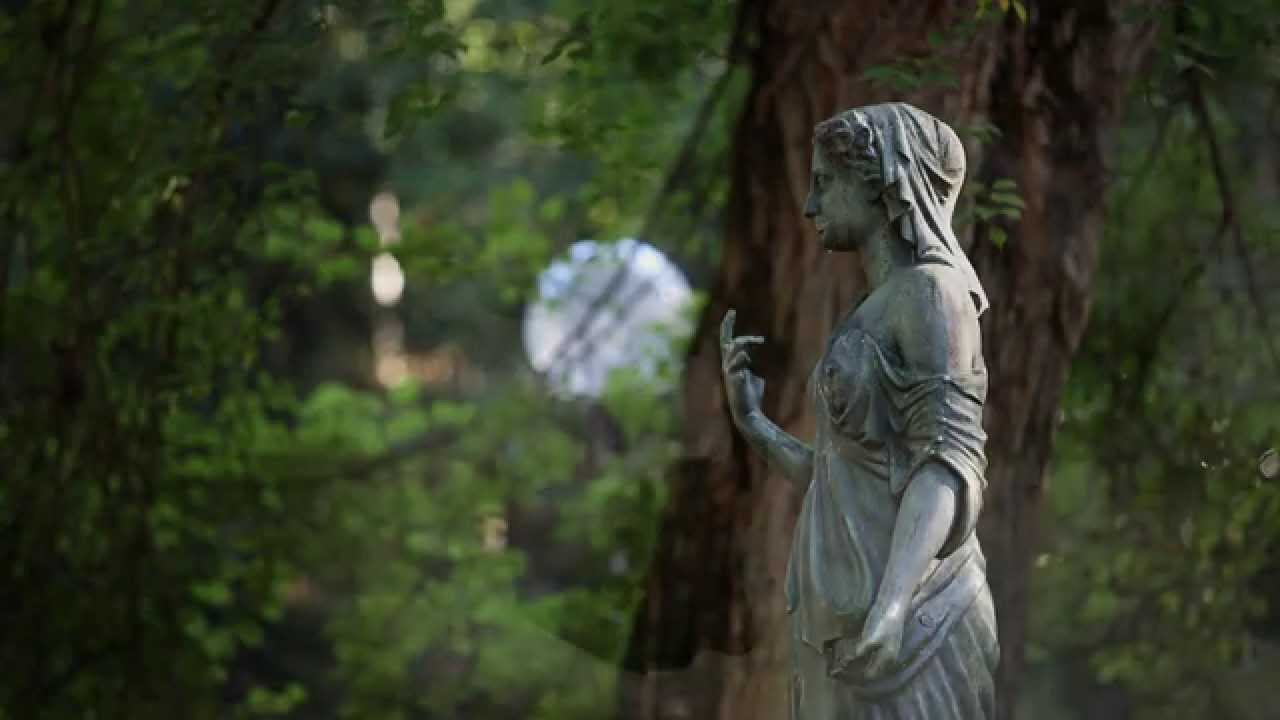 Jardin des plantes de Montauban