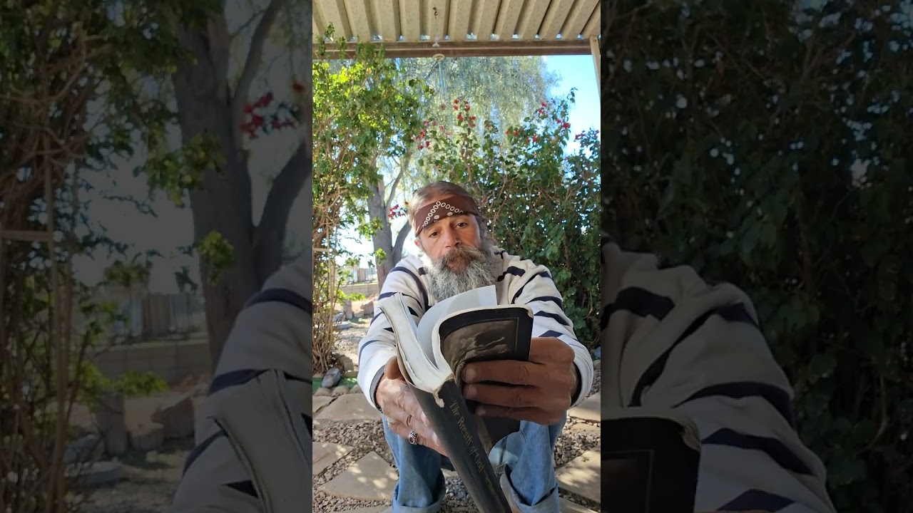 FEAR and pain never disappear...by Swami Chetanananda from 'The Breath Of God'