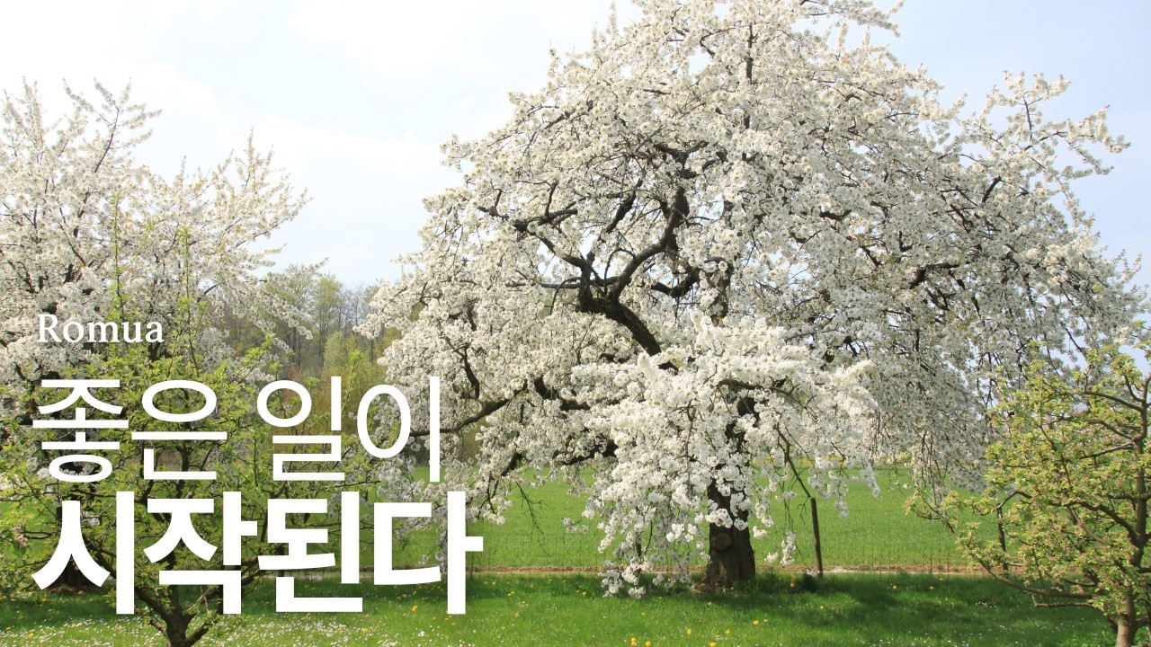 𝙿𝚕𝚊𝚢𝚕𝚒𝚜𝚝 : 결국 잘 풀리는 날 🎵마음이 여유로워지는 힐링 피아노 | 스트레스 해소 · 편안한 휴식 · 잔잔한 카페음악 · Spring Serenity