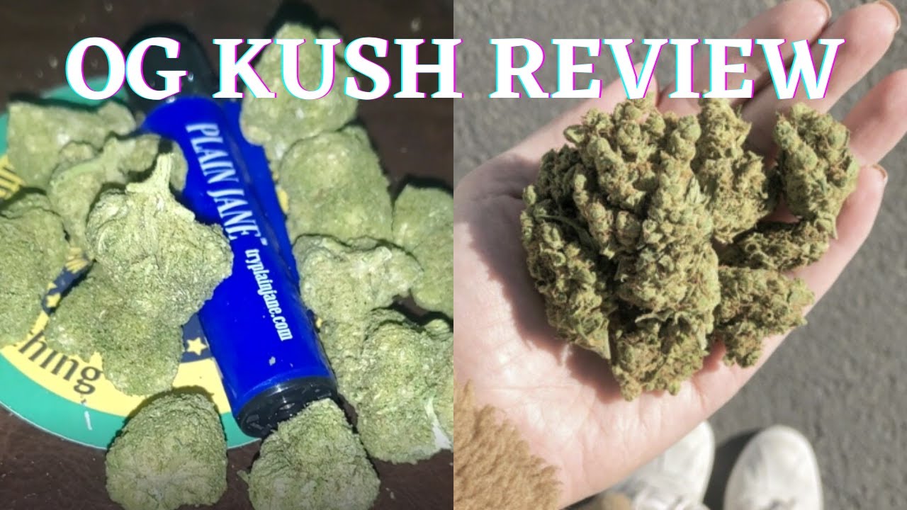 OG Kush Review   2022 Plain Jane Strain Review