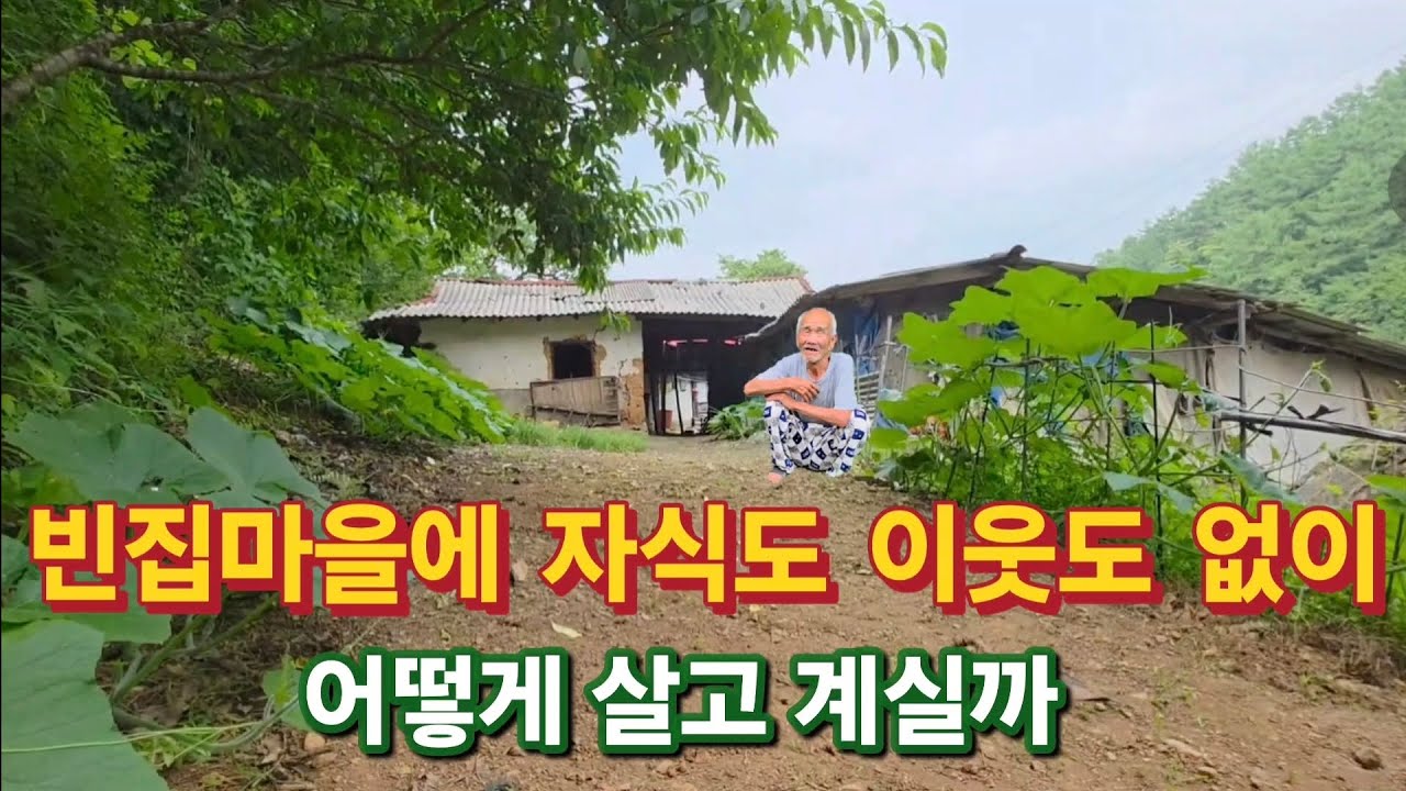 빈집 산골마을에 자식도 이웃도 없으신 노인분들이 어떻게 살고 계실까.