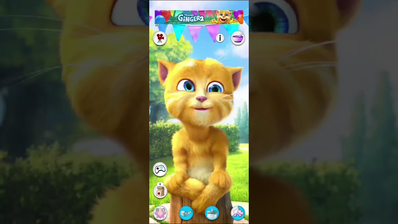 Talking Ginger 2😂 Talking Ginger Tom