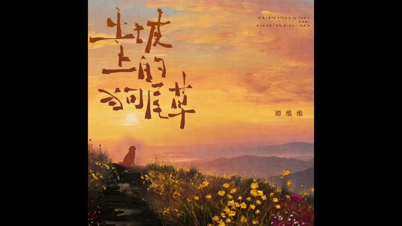 音频版｜谭维维 Sitar Tan【土坡上的狗尾草】