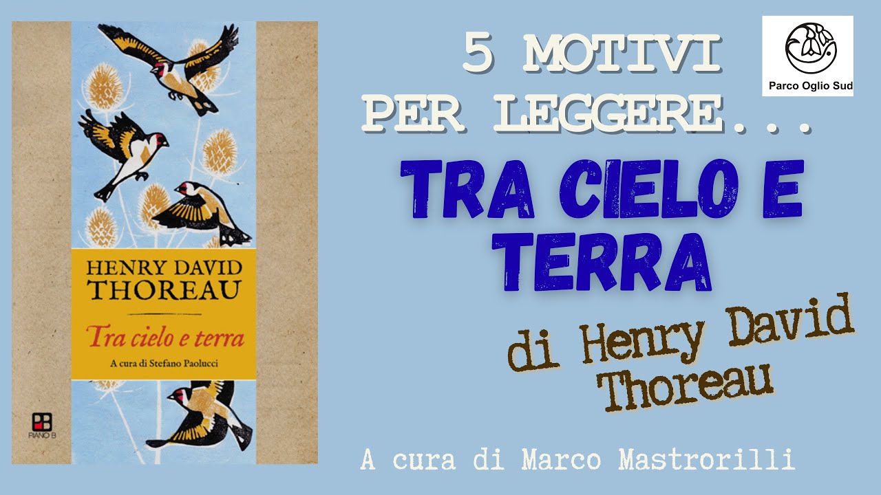 5 motivi per leggere ... Tra cielo e terra di Henry David Thoreau a cura di Marco Mastrorilli