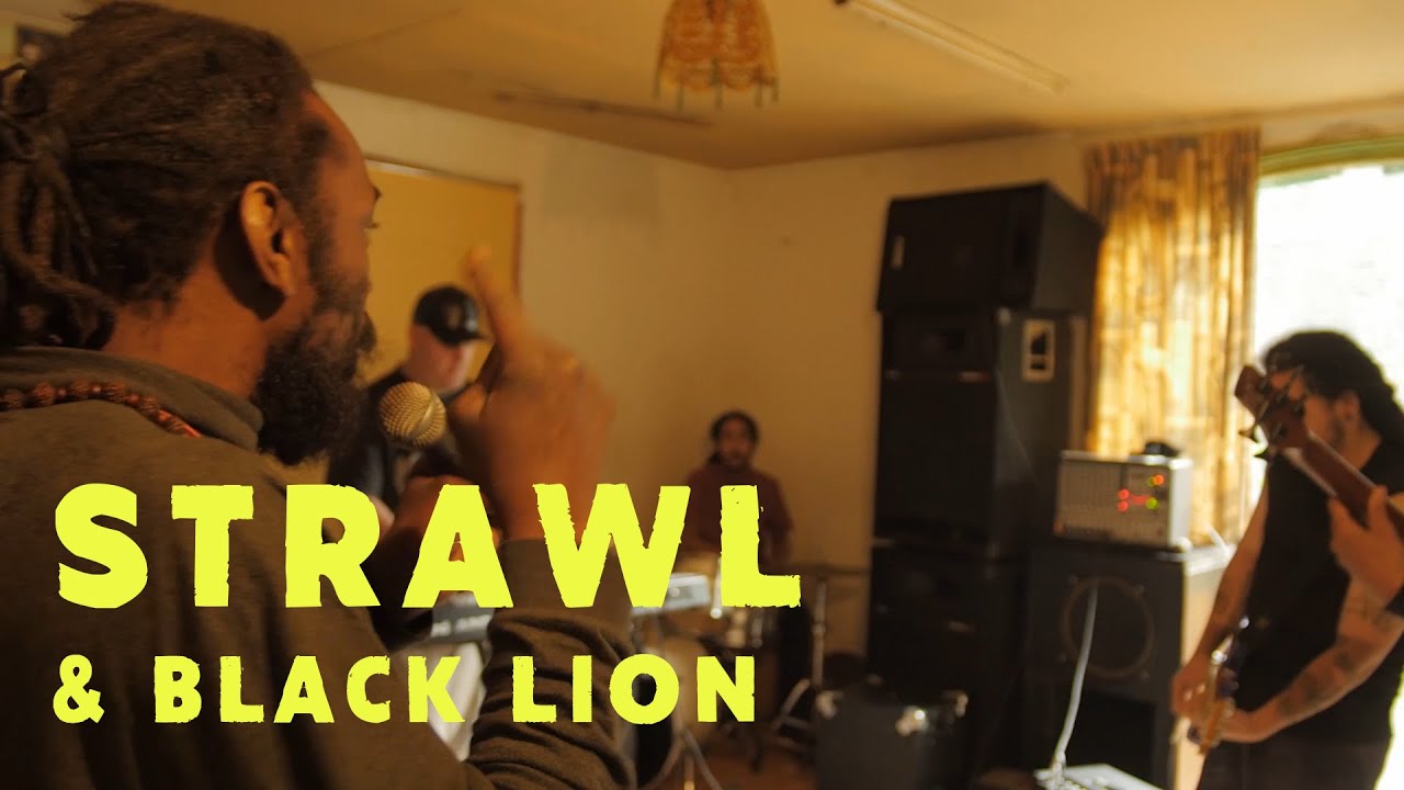 STRAWL & BLACK LION - AFRICAN GLORY