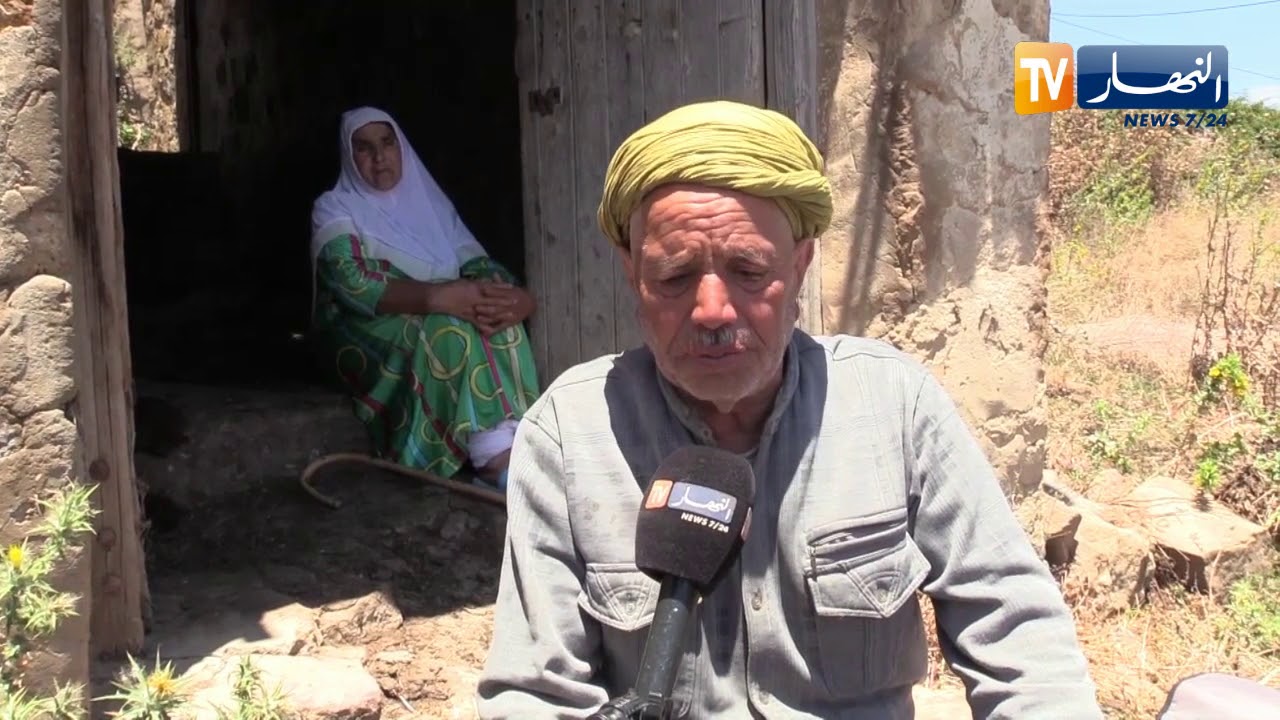 سوق أهراس: الخالة حدة لم تذق طعم الحياة بعد سرقة قطيع أبقارها