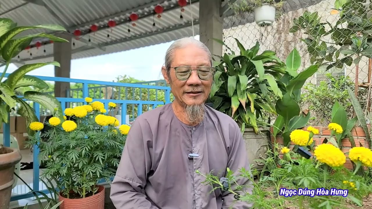 Ông Lão Râu Bạc 