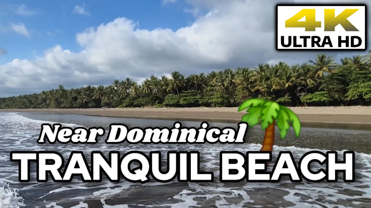 [4K] Beach Tour Near Dominical, Costa Rica + Super Calm 🌴 Jungle Meets Ocean #travel #tourism