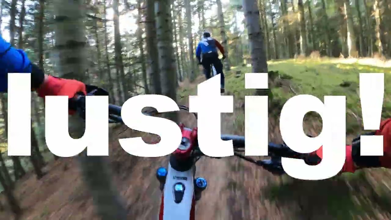 DAS ist der GEILSTE Trail Dänemarks! Jumplines, Enduro, Flowtrails, Downhill, Technik - TOP of DK!