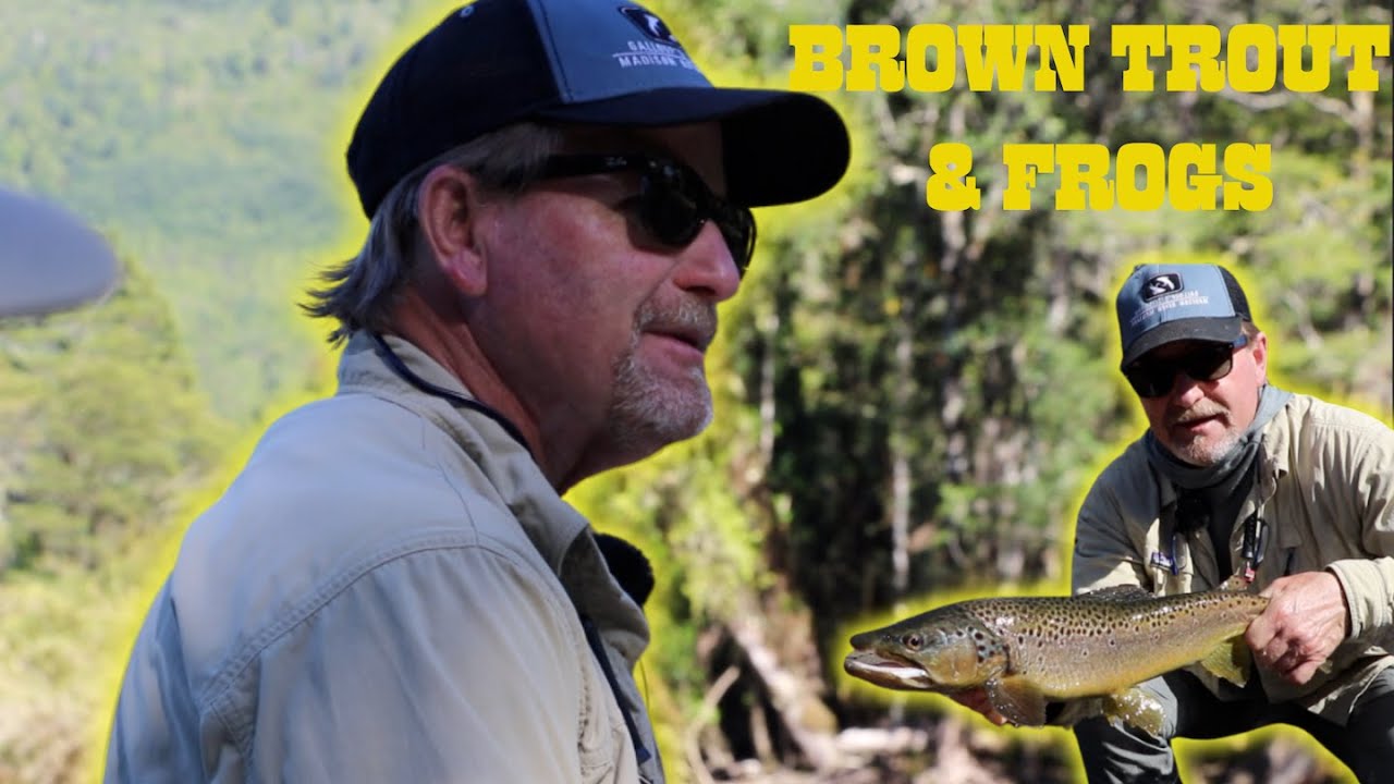 Streamers & Frogs in Chile (Kelly Rolled a GIANT Brown on the Frog)