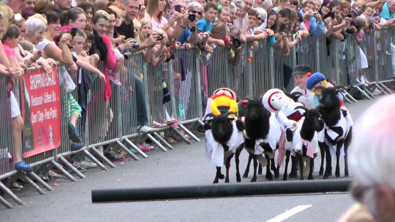 Sheep Races, Moffat