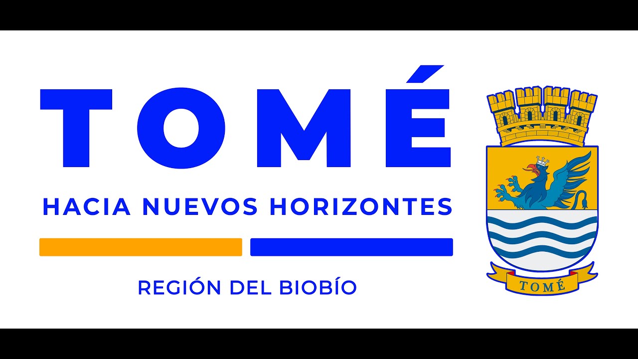 SESIÓN CONCEJO MUNICIPAL ORDINARIO N°40