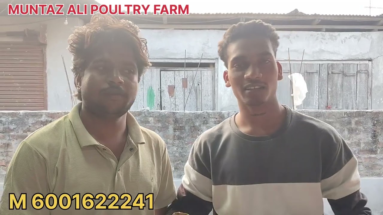 TEZPUR BALIPARA Hybrid Sonali Chicks Delivery M 6001622241 ALL Assam Delivery Available 