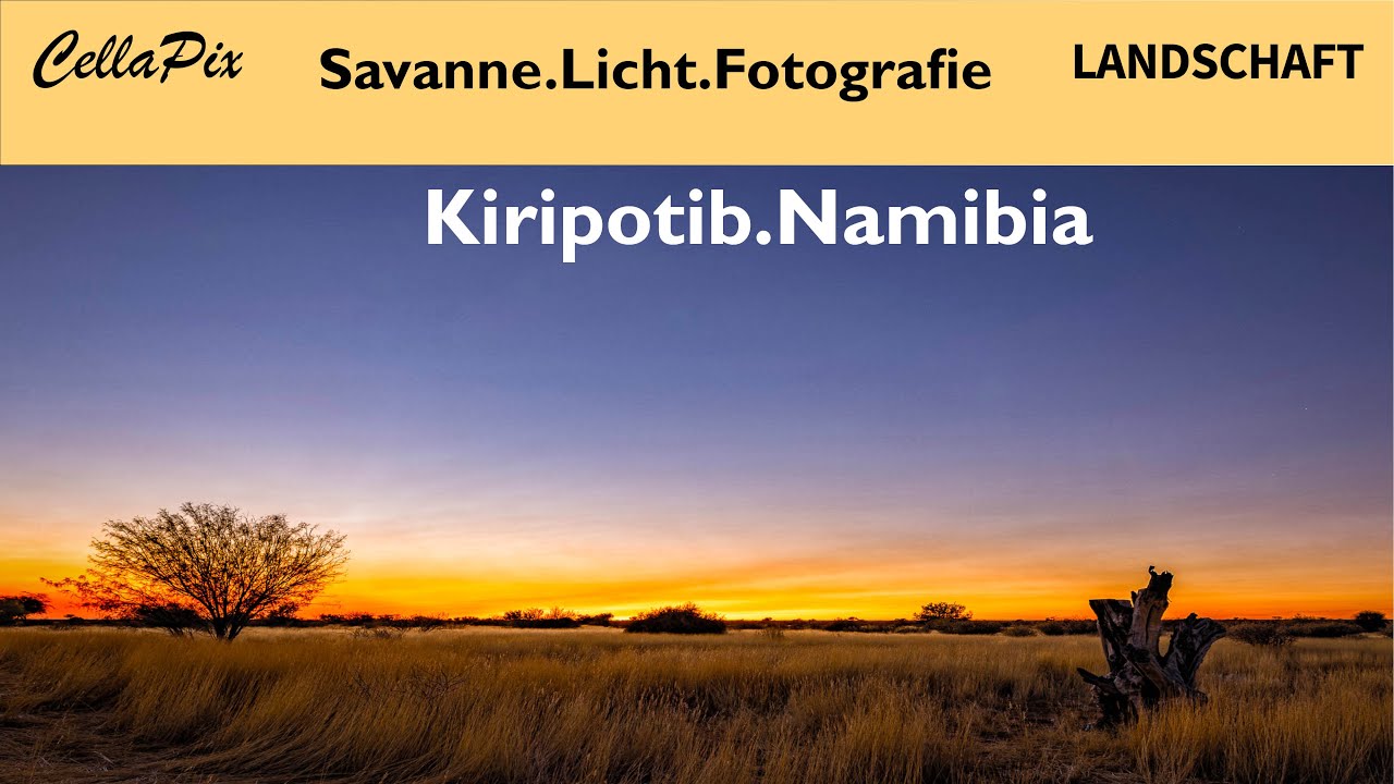 Savanne im besten Licht: Landschaftsfotografie auf einer Farm in Namibia