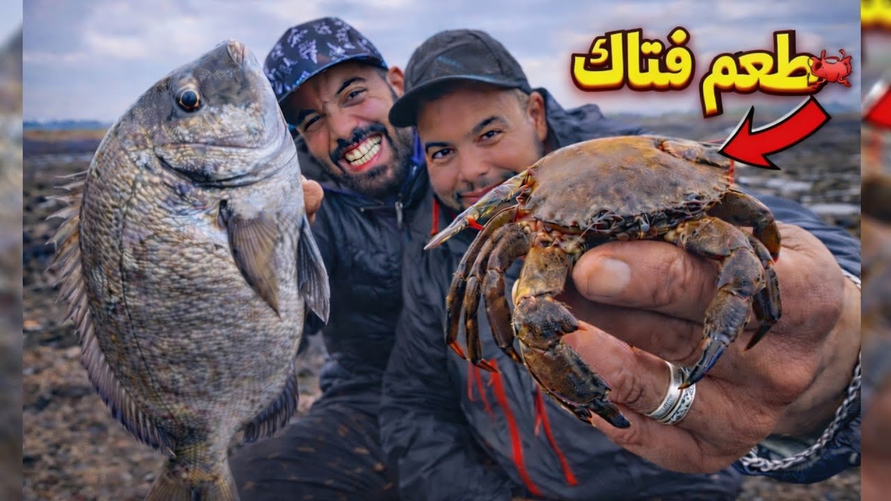 ان صادفت هذا الطعم الخطير فقد صادفت كنز من الأسماك العملاقة بدون شك