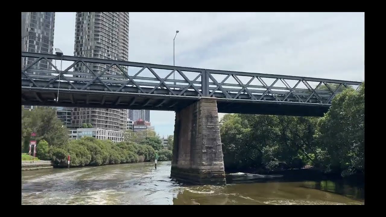 Ferry Ride from Parramatta to Sydney CBD | Ultimate Scenic River Journey 🛳️ Australia